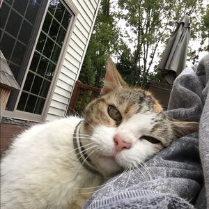 Meet your Posher, Pam